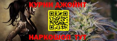 сатива Моздок