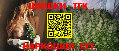 сатива Моздок