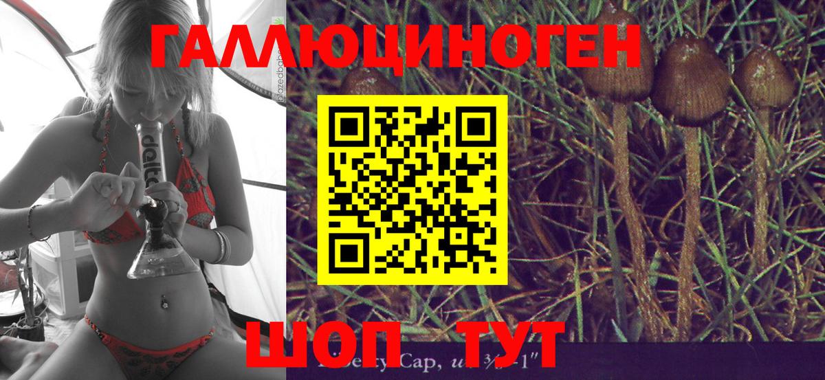 Чапаевск  Галлюциногенные грибы мицелий  Псилоцибиновые грибы MAGIC MUSHROOMS  Вход с VPN 